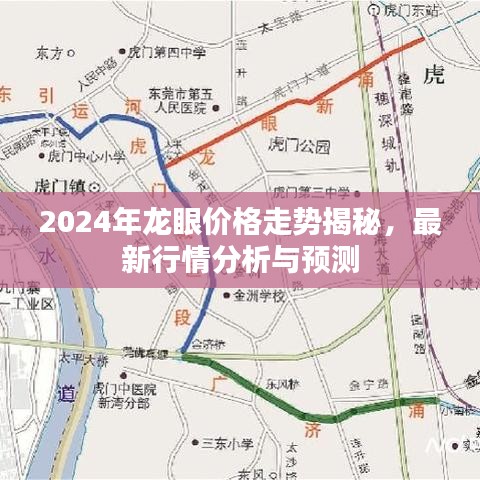 2024年龙眼价格走势揭秘，最新行情分析与预测