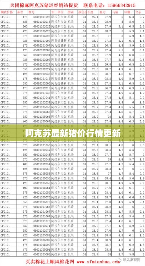 阿克苏最新猪价行情更新