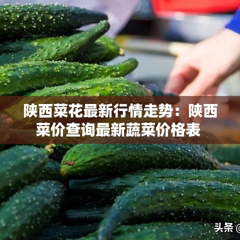陕西菜花最新行情走势：陕西菜价查询最新蔬菜价格表 