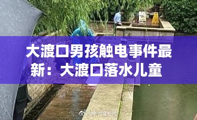 大渡口男孩触电事件最新：大渡口落水儿童 
