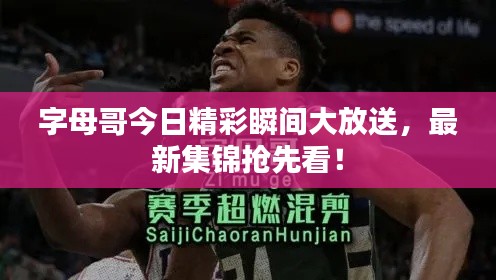 字母哥今日精彩瞬间大放送，最新集锦抢先看！
