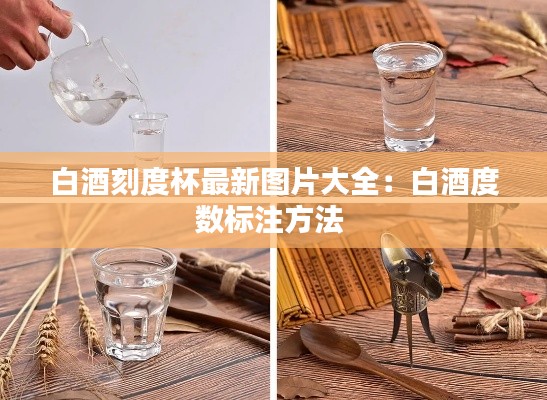 白酒刻度杯最新图片大全：白酒度数标注方法 