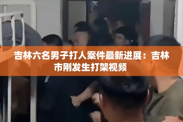 吉林六名男子打人案件最新进展：吉林市刚发生打架视频 