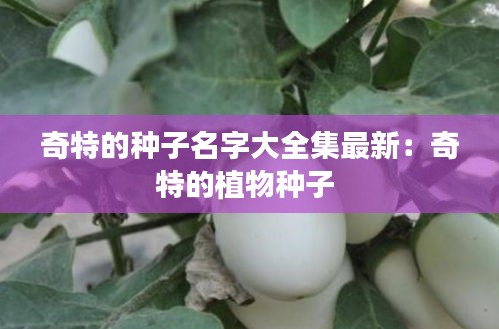 奇特的种子名字大全集最新：奇特的植物种子 