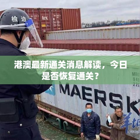 港澳最新通关消息解读，今日是否恢复通关？