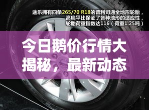 今日鹅价行情大揭秘，最新动态一网打尽