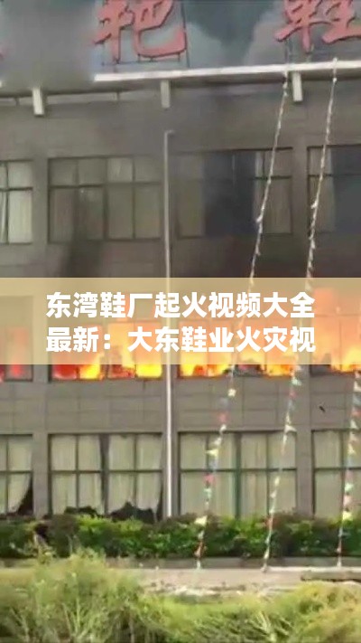 东湾鞋厂起火视频大全最新：大东鞋业火灾视频 