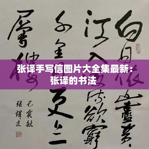 张译手写信图片大全集最新：张译的书法 