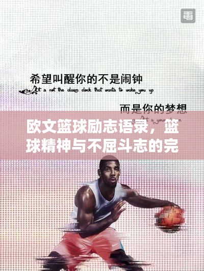 欧文篮球励志语录，篮球精神与不屈斗志的完美融合