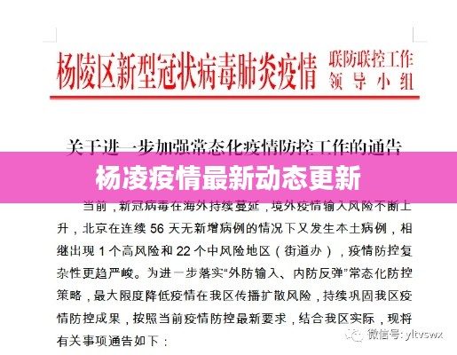 杨凌疫情最新动态更新