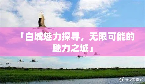 「白城魅力探寻，无限可能的魅力之城」