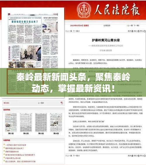 秦岭最新新闻头条，聚焦秦岭动态，掌握最新资讯！