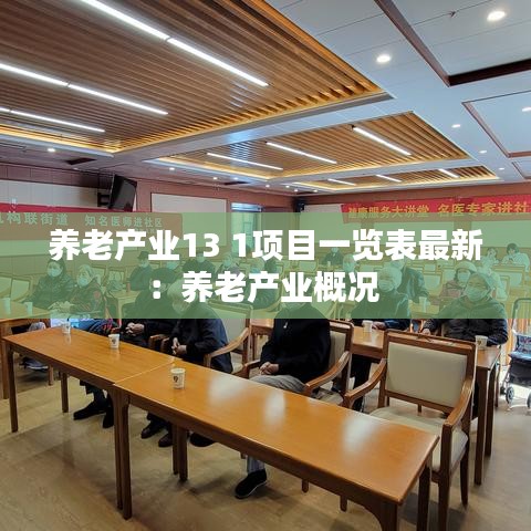 养老产业13 1项目一览表最新：养老产业概况 