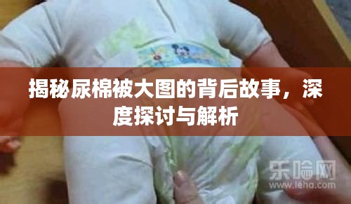 揭秘尿棉被大图的背后故事，深度探讨与解析