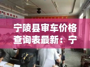宁陵县审车价格查询表最新：宁陵县车管所服务大厅 