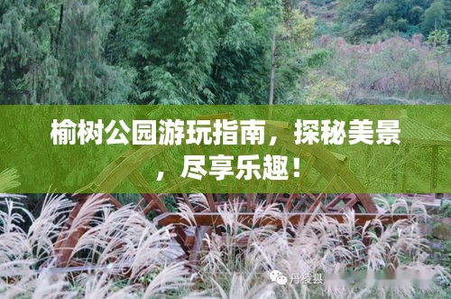 榆树公园游玩指南，探秘美景，尽享乐趣！