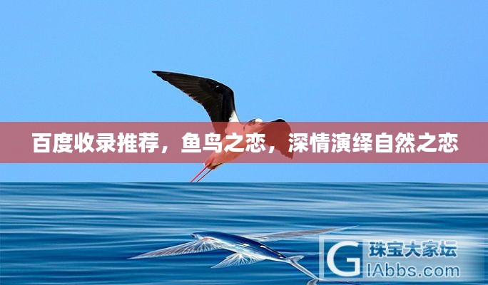 明夷于飞 第2页