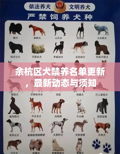 余杭区犬禁养名单更新，最新动态与须知