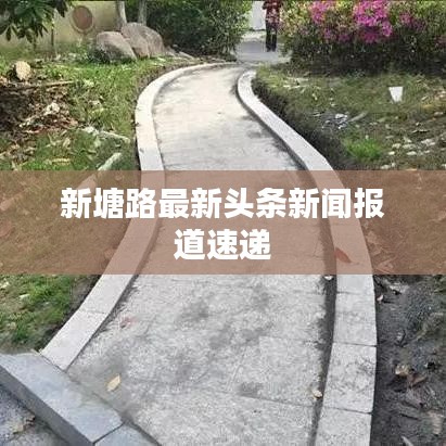 新塘路最新头条新闻报道速递