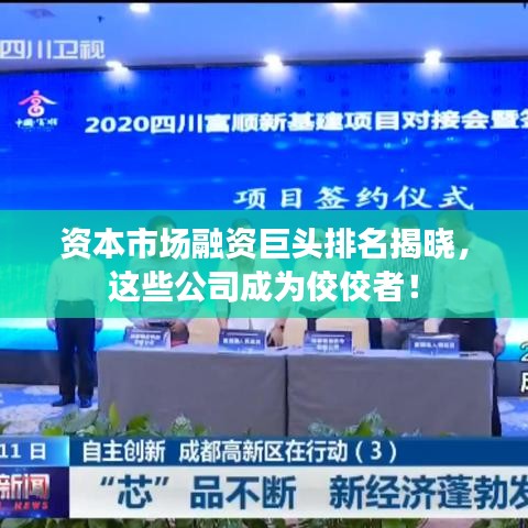 资本市场融资巨头排名揭晓，这些公司成为佼佼者！