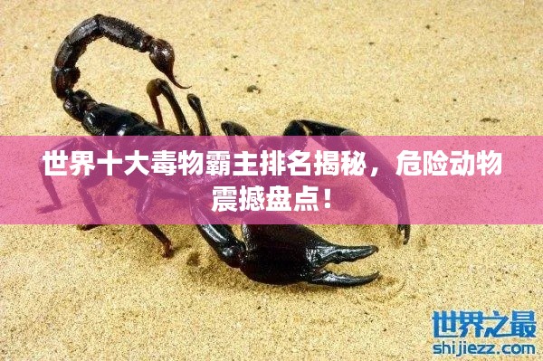 滔滔不绝 第2页