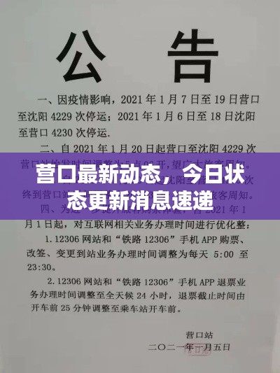 营口最新动态，今日状态更新消息速递