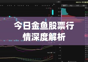 今日金鱼股票行情深度解析