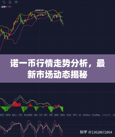 诺一币行情走势分析，最新市场动态揭秘