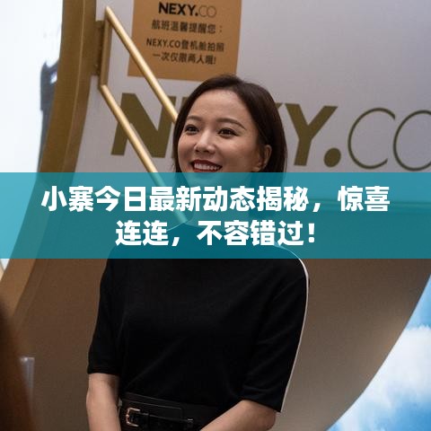 小寨今日最新动态揭秘，惊喜连连，不容错过！
