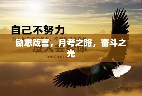 2025年1月27日 第16页