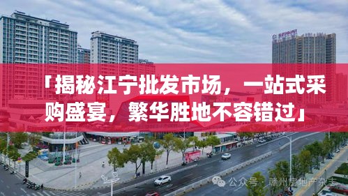 「揭秘江宁批发市场，一站式采购盛宴，繁华胜地不容错过」