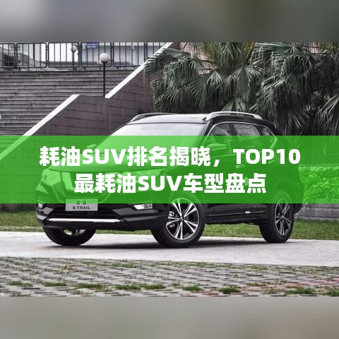 展翅欲飞 第2页