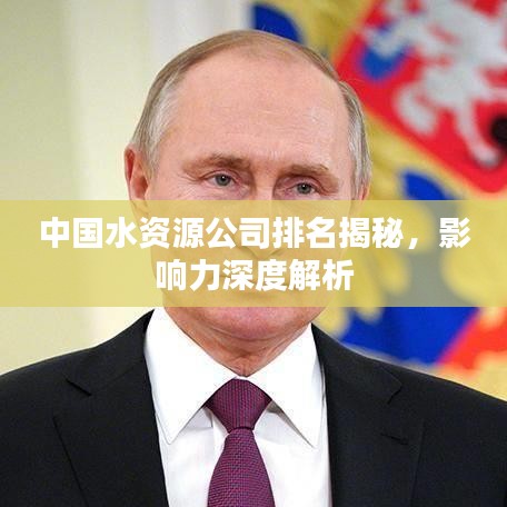 中国水资源公司排名揭秘，影响力深度解析