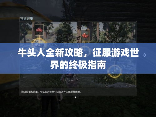 纲挈目张 第2页