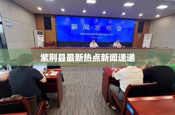 紫荆县最新热点新闻速递