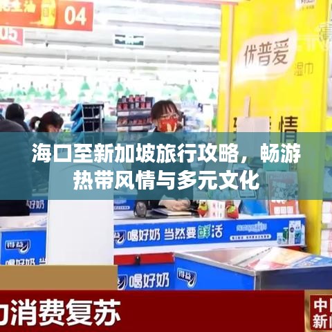 海口至新加坡旅行攻略，畅游热带风情与多元文化