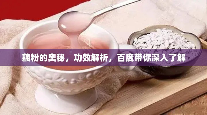 藕粉的奥秘，功效解析，百度带你深入了解