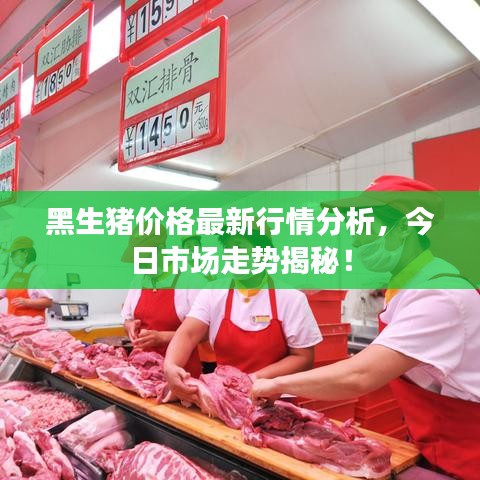 黑生猪价格最新行情分析，今日市场走势揭秘！