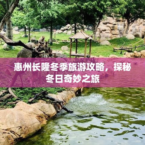 惠州长隆冬季旅游攻略，探秘冬日奇妙之旅
