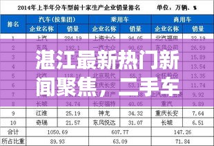 湛江最新热门新闻聚焦，二手车市场新动态揭秘