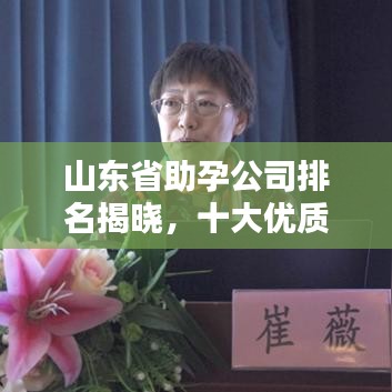 山东省助孕公司排名揭晓，十大优质助孕机构及服务概览