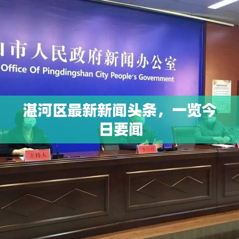 湛河区最新新闻头条，一览今日要闻