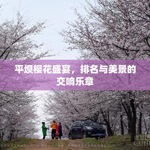 平坝樱花盛宴，排名与美景的交响乐章