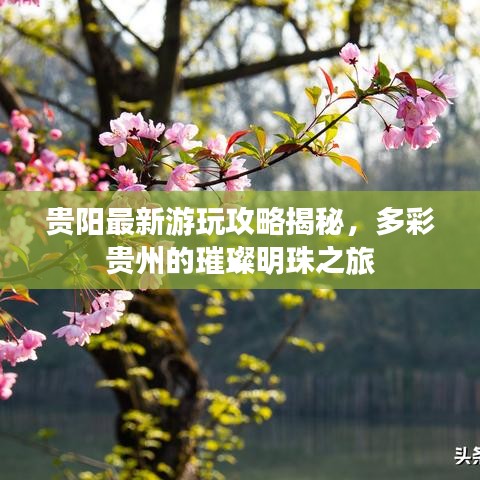 贵阳最新游玩攻略揭秘，多彩贵州的璀璨明珠之旅