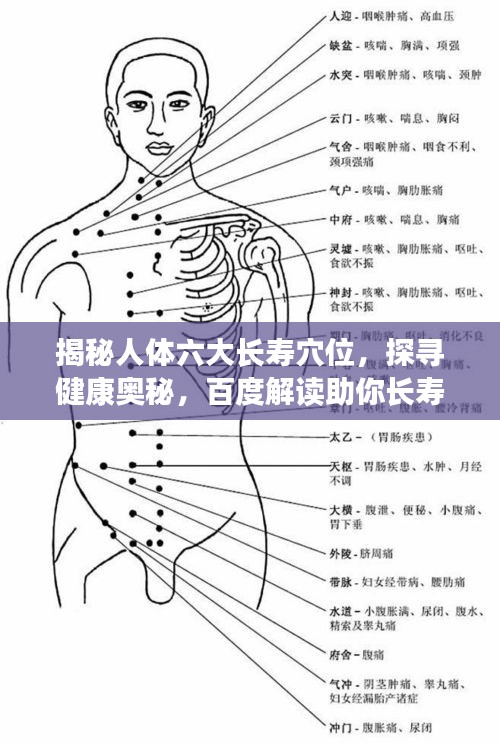 揭秘人体六大长寿穴位，探寻健康奥秘，百度解读助你长寿健康
