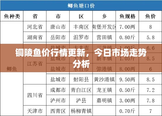 铜陵鱼价行情更新，今日市场走势分析