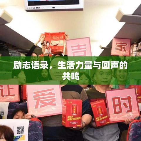 励志语录，生活力量与回声的共鸣