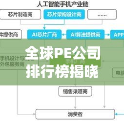 全球PE公司排行榜揭晓，揭秘行业巨头影响力分析
