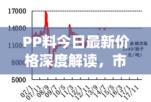 PP料今日最新价格深度解读，市场动态、趋势分析与预测