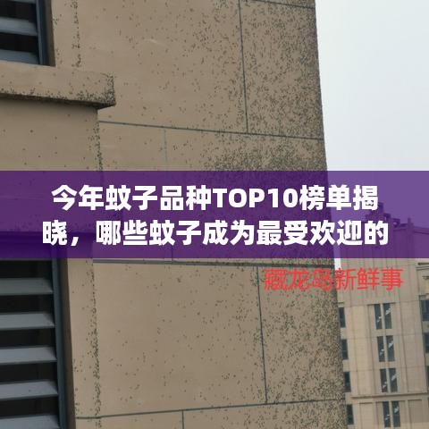 今年蚊子品种TOP10榜单揭晓，哪些蚊子成为最受欢迎的害虫？